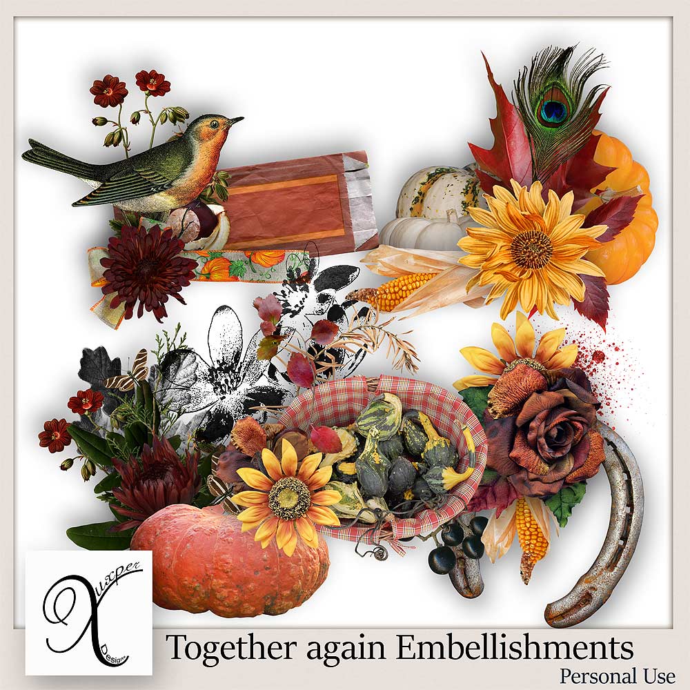 Together Again Embellishments