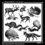 Woodland Animals No 1