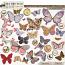 Metamorphosis Butterflies