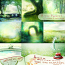 Love Stories From The Red Flower Shop Scene Paper I