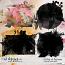 Colors of Autumn Clipping Masks
