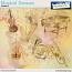 Musical Dreams Transfers 2