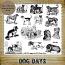 DOG DAYS - 14 PNG Stamps and ABR Brush Files by Idgie's Heartsong