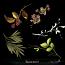 Branchlet 1