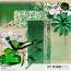 Emerald Mini Kit