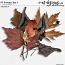 CU Autumn Mix 4
