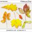 CU - Autumn mix #2
