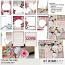 You're The One: Mini ID Badge Album