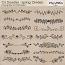 CU Doodles - Springs Dividers