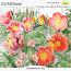 CU 920 FLORAL