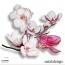 CU Flowers Magnolia