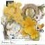 Summer Joy Overlays