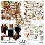 An Autumn WonderFall Day Collection