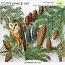 CU 019 PINES AND OWL