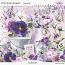 PURPLE SCENT THE KIT