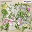 Lovely Moments Clusters