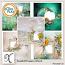 Seashell Passion Album