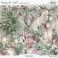 ROSES DE NOEL COMPOSITIONS
