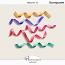 Ribbons 16 (CU) by Wendy Page Designs