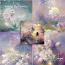 Among The Flowers 2 by MagicalReality Designs