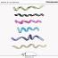 Ribbons 17 (CU) by Wendy Page Designs