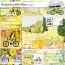 Blossoming Bike Rides (cards) by Simplette