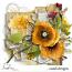 Sunshine Elements