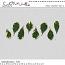 Real Leaves Vol 1 (CU) by Mixed Media by Erin