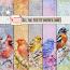 All the Pretty Birdies (one)