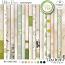 Urban Oasis Mixed Papers by Daydream Designs 