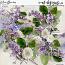 Lilac Dreams Clusters by et designs