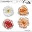 CU Flower-Vol 5