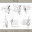 Inscribed Overlays No.2 by FeiFei Stuff