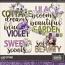 Lilac Cottage Titles by Aimee Harrison