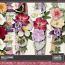 True Elegance Borders by Aimee Harrison
