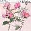 English Garden Sketches by et designs
