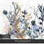 Thallus | H2O Botanical Stamps by Rachel Jefferies