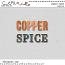 Copper Spice {Alphas} by Mixed Media by Erin
