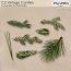 CU Vintage Conifers