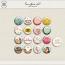 Ludic | Some Flairs Vol 21 by Anita Designs