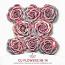 CU Flowers No 14 Ombre Roses