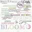 Spring Is In The Air-Word art