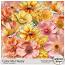 Color Me Happy Flower Overlays by Sekada Designs