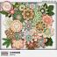 Flourishing Blooms by Aimee Harrison