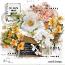 Bloom Overlays