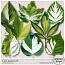 CU Leaves #3 by Sekada Designs