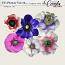 CU Flower-Vol 14