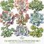 CU Artistic Illustrations No 1 Succulents