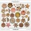 Paper Flowers 51 (CU) by Wendy Page Designs  