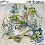 By the Sea Clusters by et designs